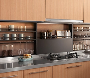Stainless Steel Kitchen Cabinet with Blum Underbox Slider - China New  Kitchen, Solid Wood Kitchen Design