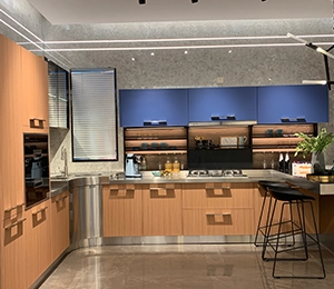 Stainless Steel Kitchen Cabinet with Blum Underbox Slider - China New  Kitchen, Solid Wood Kitchen Design